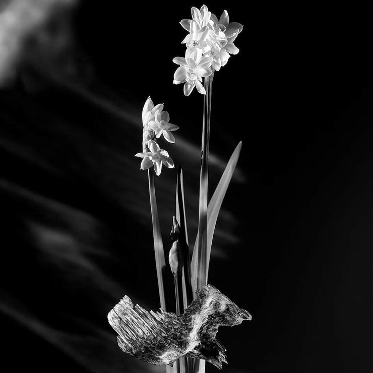 Matiere Noire